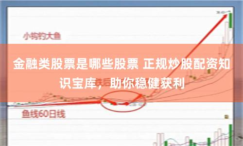 金融类股票是哪些股票 正规炒股配资知识宝库，助你稳健获利