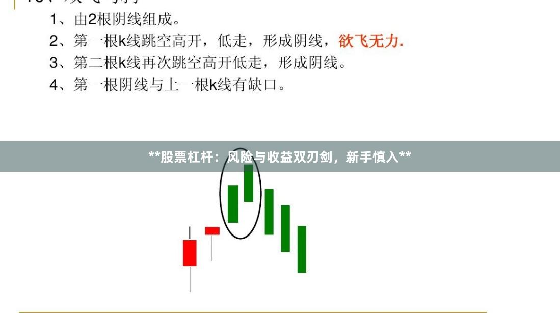 **股票杠杆：风险与收益双刃剑，新手慎入**